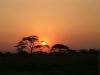 040720 my own serengeti sunset in tanzania